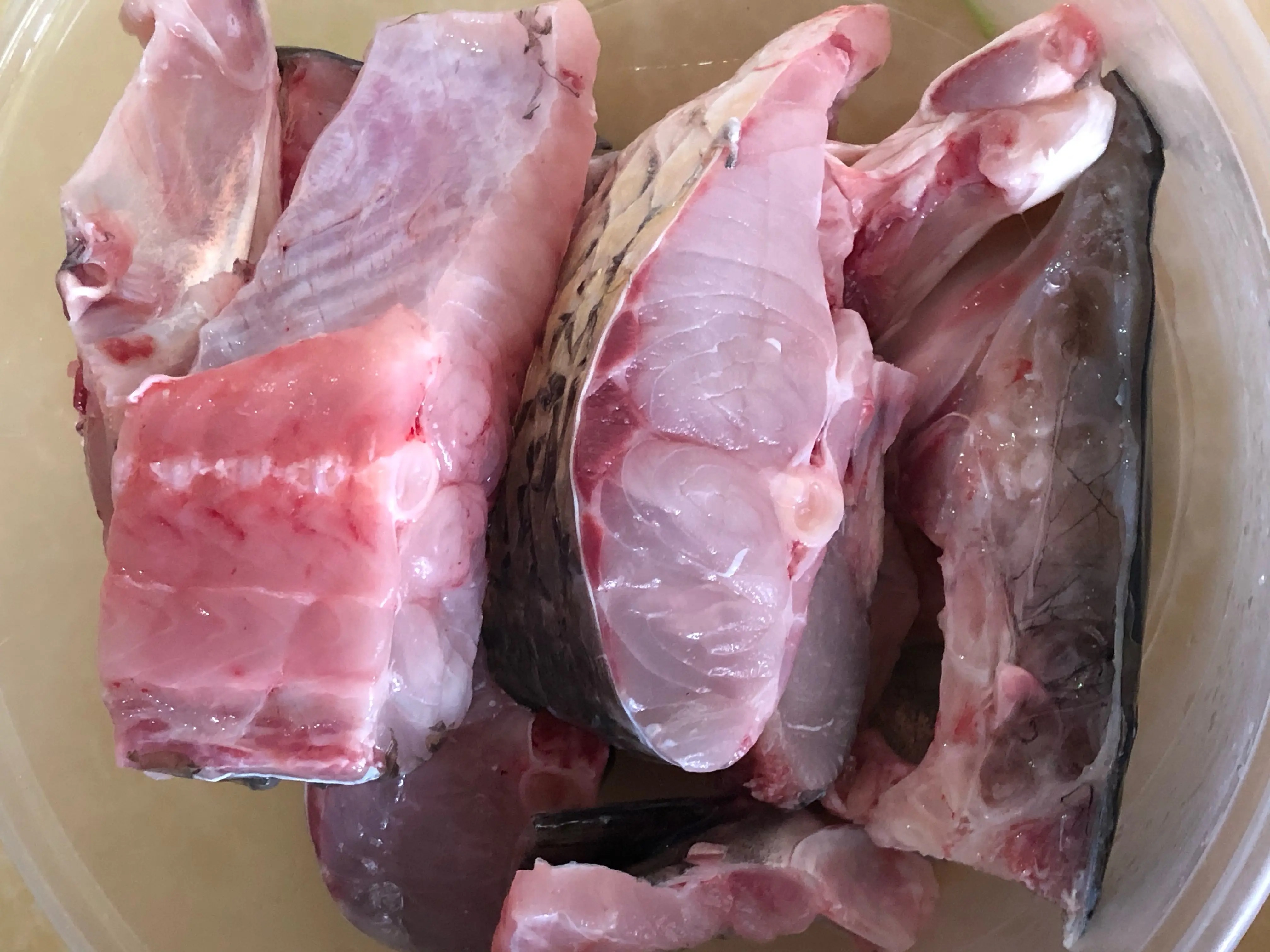 草魚塊