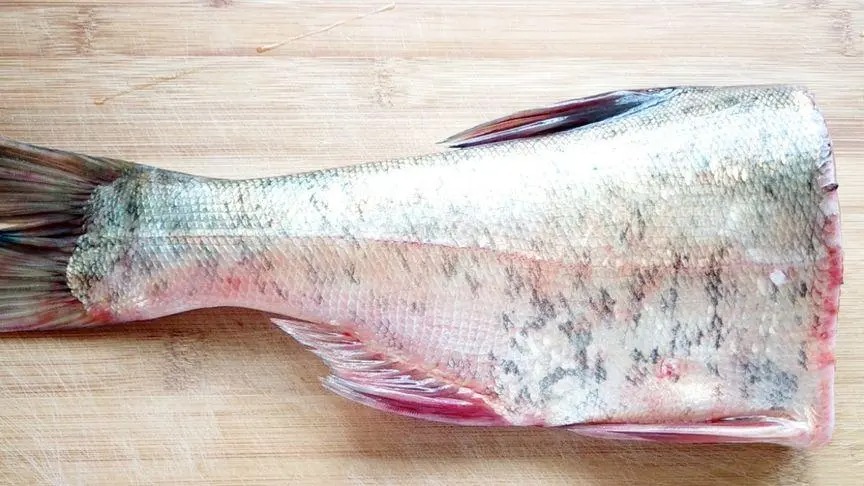 大頭魚尾