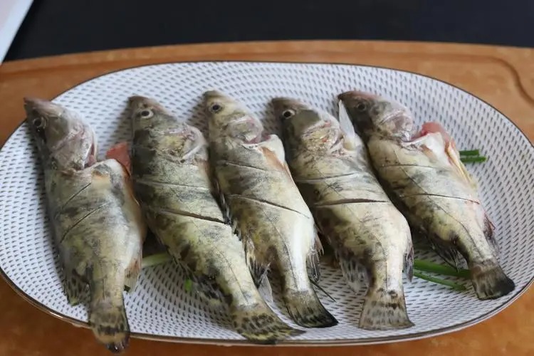 桂花魚