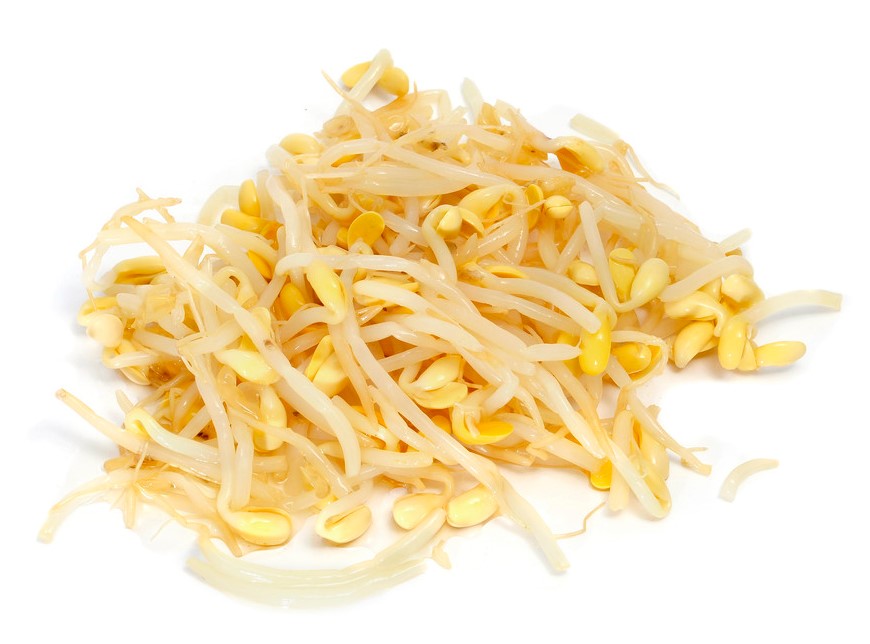 黃豆芽